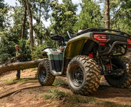 GOES TERROX 550 — foto 6