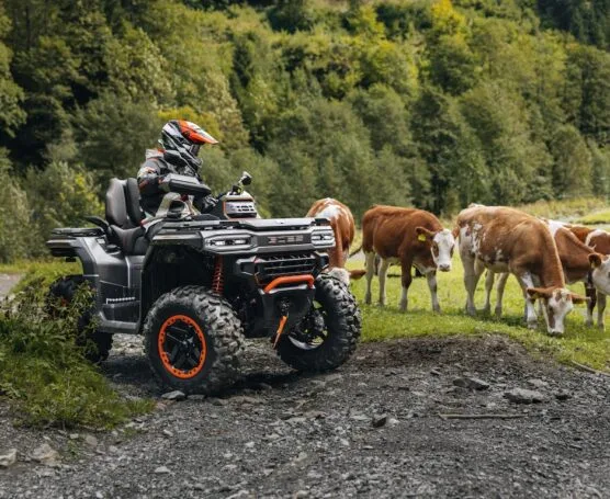 GOES TERROX 1000 LIMITED — foto 5